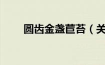 圆齿金盏苣苔（关于圆齿金盏苣苔）