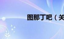图那丁吧（关于图那丁吧）