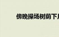 傍晚操场树荫下月光（暮光操场）
