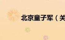 北京童子军（关于北京童子军）