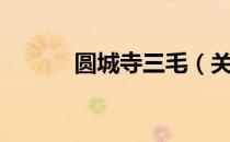 圆城寺三毛（关于圆城寺三毛）
