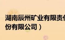 湖南辰州矿业有限责任公司（湖南辰州矿业股份有限公司）