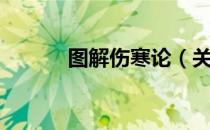 图解伤寒论（关于图解伤寒论）