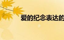 爱的纪念表达的意思（毛泓艳）