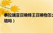 泰拉瑞亚召唤蜂王召唤物怎么用（泰拉瑞亚召唤蜂王需要环境吗）