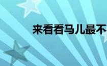 来看看马儿最不喜欢怎样的人吧