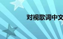 对视歌词中文（对视歌词）
