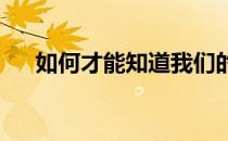 如何才能知道我们的马儿快乐不快乐呢