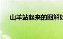 山羊站起来的图解如何练习山羊站起来