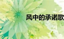 风中的承诺歌词（诺 歌词）