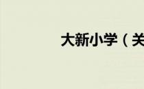 大新小学（关于大新小学）