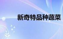 新奇特品种蔬菜（新奇特批发网）
