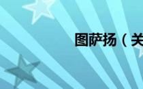 图萨扬（关于图萨扬）