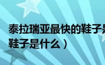 泰拉瑞亚最快的鞋子是什么（泰拉瑞亚最好的鞋子是什么）