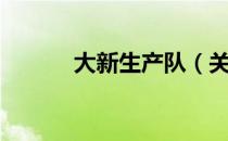 大新生产队（关于大新生产队）