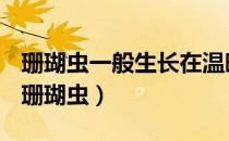 珊瑚虫一般生长在温暖的浅水区这是为什么（珊瑚虫）