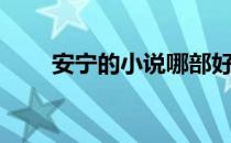 安宁的小说哪部好看（安宁的小说）