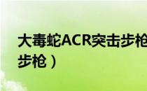 大毒蛇ACR突击步枪（关于大毒蛇ACR突击步枪）