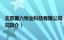北京黑六牧业科技有限公司（关于北京黑六牧业科技有限公司简介）
