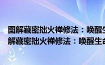 图解藏密拙火禅修法：唤醒生命能量清除身心烦恼（关于图解藏密拙火禅修法：唤醒生命能量清除身心烦恼简介）