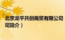 北京龙平共创商贸有限公司（关于北京龙平共创商贸有限公司简介）