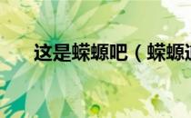 这是蝾螈吧（蝾螈道士与幕后操纵团）