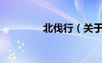 北伐行（关于北伐行简介）