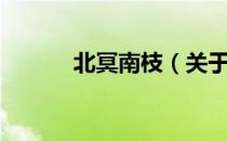北冥南枝（关于北冥南枝简介）