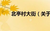 北亭村大街（关于北亭村大街简介）