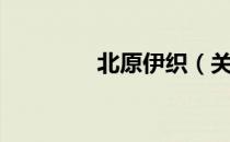 北原伊织（关于北原伊织）