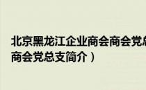 北京黑龙江企业商会商会党总支（关于北京黑龙江企业商会商会党总支简介）