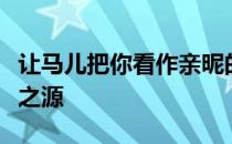 让马儿把你看作亲昵的伙伴而不是愤怒和痛苦之源