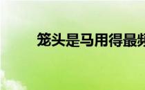 笼头是马用得最频繁最常见的马具