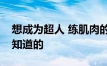 想成为超人 练肌肉的基本原则应该是之前就知道的