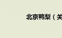 北京鸭梨（关于北京鸭梨）