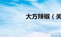 大方辣椒（关于大方辣椒）