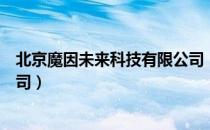北京魔因未来科技有限公司（关于北京魔因未来科技有限公司）