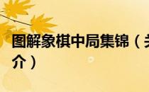 图解象棋中局集锦（关于图解象棋中局集锦简介）
