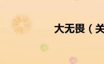 大无畏（关于大无畏）