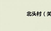 北头村（关于北头村）