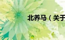 北养马（关于北养马简介）