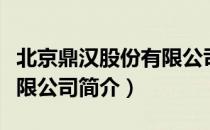 北京鼎汉股份有限公司（关于北京鼎汉股份有限公司简介）