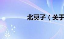 北冥子（关于北冥子简介）