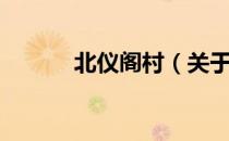 北仪阁村（关于北仪阁村简介）