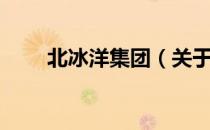 北冰洋集团（关于北冰洋集团简介）