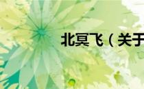 北冥飞（关于北冥飞简介）