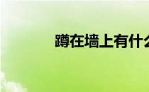 蹲在墙上有什么好处和作用？