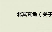 北冥玄龟（关于北冥玄龟简介）