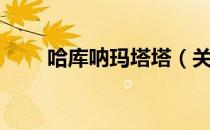 哈库呐玛塔塔（关于哈库呐玛塔塔）
