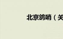 北京鸽哨（关于北京鸽哨）